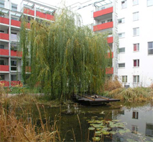 https://www.frauenwohnprojekt.info/media/galerie/2003/exkursionen/16.jpg