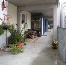 https://www.frauenwohnprojekt.info/media/galerie/2003/exkursionen/32.jpg