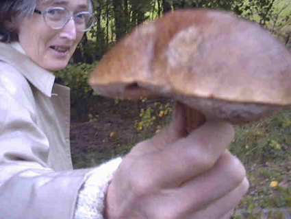 https://www.frauenwohnprojekt.info/media/galerie/2004/waldviertel/LieslPilz.jpg